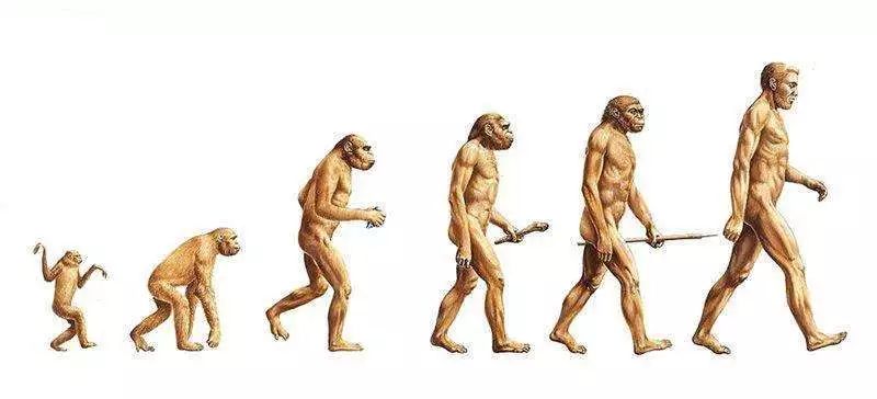 活动〡一起来西西弗聊聊人类这种“超级吃货”的故事