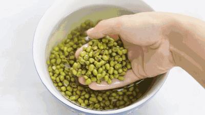 在家种菜,不用土不用肥,“一张纸”就搞定