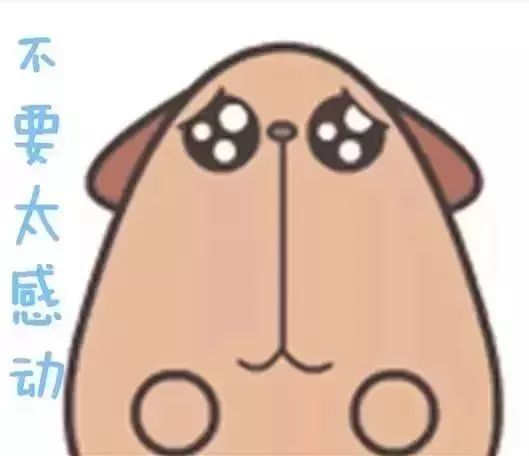 根治鼻炎只需一招,治鼻炎不复发