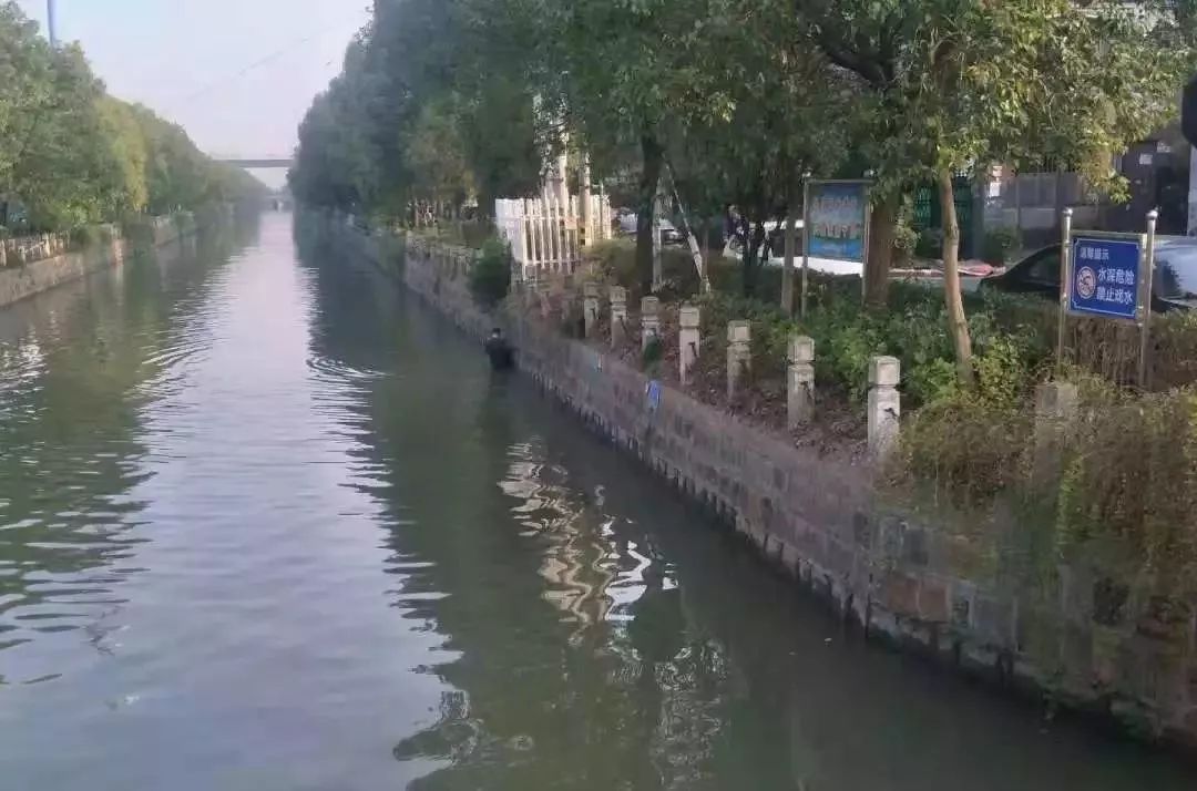 杭州男子一个举动，300万*迁拆**款打了水漂！妻子气得跳河！网友：不值得