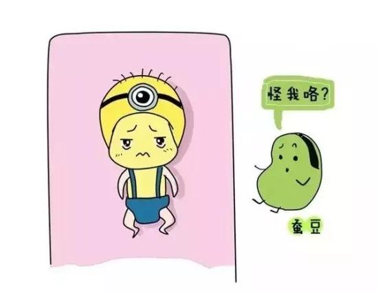 什么血液病不能吃蚕豆,血液病吃蚕豆