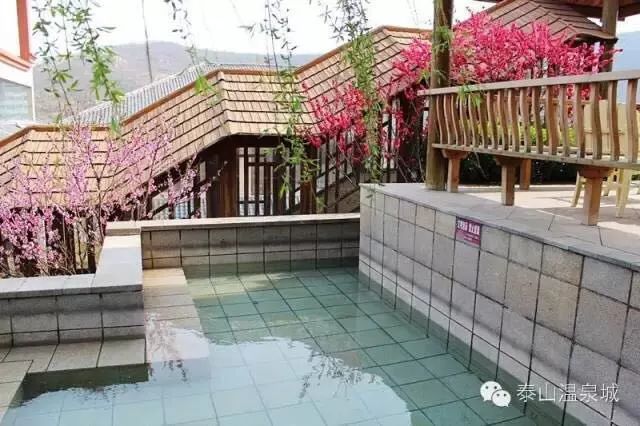 冬日泰山温泉城,泰山温泉一日游
