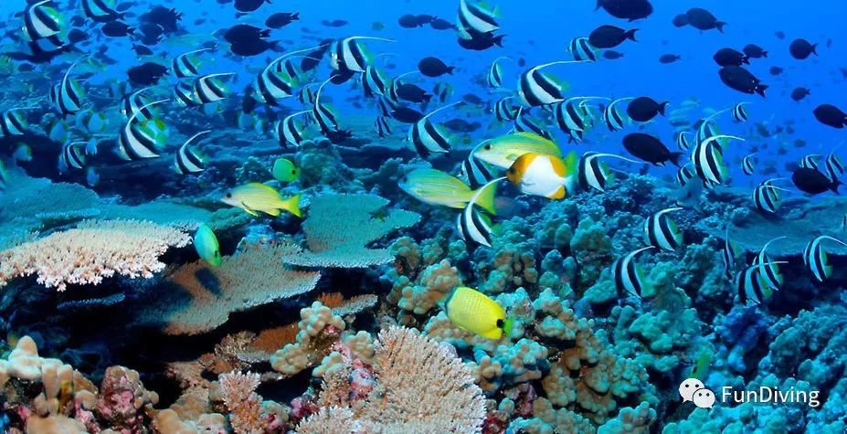 塔希提岛度假,最接近天堂的地方在哪