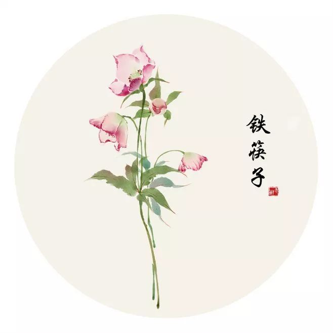 和汉字很相似的字大全,汉字中有哪些相似的字