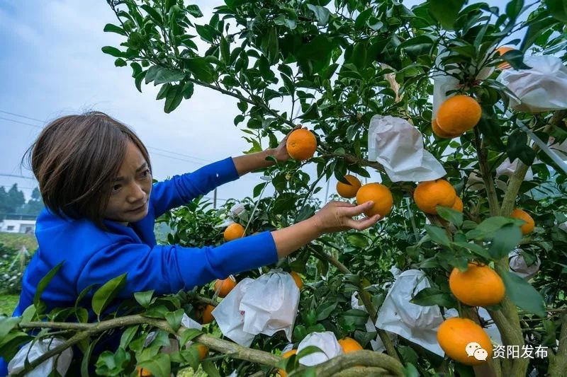 资阳周边适合周末亲子好去处,资阳适合一家老小游玩的地方