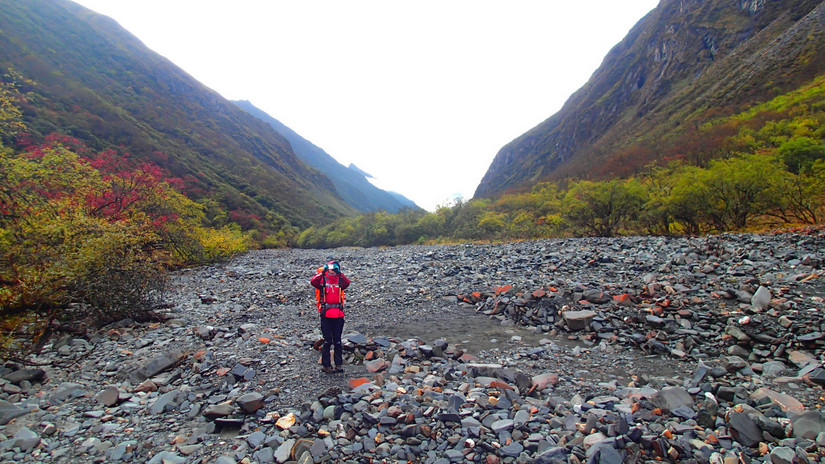 留下的是辉煌带走的是荒凉,带走的是经历留下的是回忆