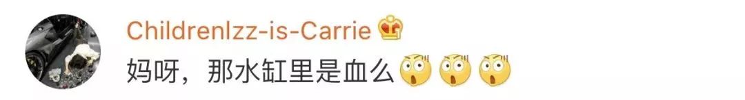 谢依霖水中分娩后判若两人,谢依霖水中产子后遗症