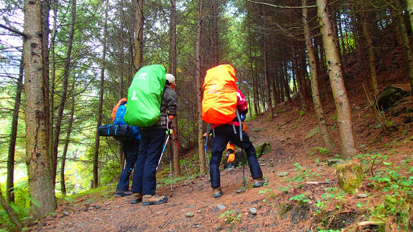 留下的是辉煌带走的是荒凉,带走的是经历留下的是回忆