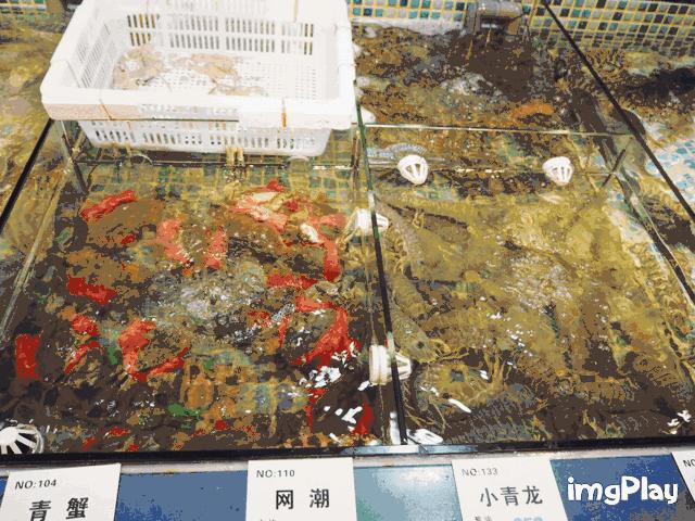 双十一去旅游,双11去双合石壁玩