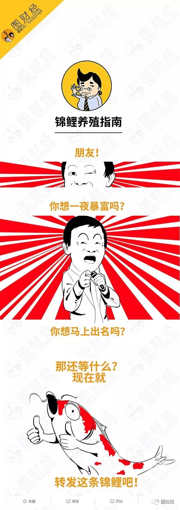 大棚养殖锦鲤,宜兴锦鲤养殖