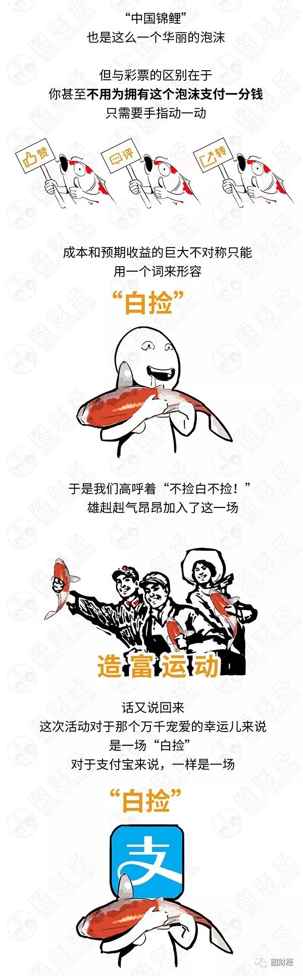 大棚养殖锦鲤,宜兴锦鲤养殖