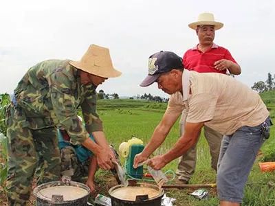 井水配农药会降低药效吗,井水打农药影响药效吗