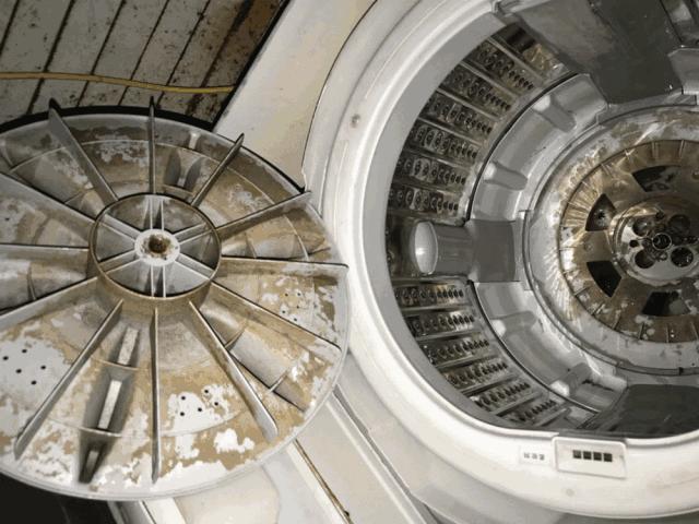 洗衣机里加上它陈年污垢全出来了,洗衣机污垢和霉菌危害