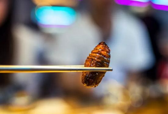 武汉火了！必须曝光这几家“隐藏门”，贩卖机？书店？我竟然统统没想到！