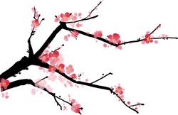 养生选择什么产品最好,养生要选什么专业