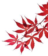 养生堂直播间预防脑梗,养生堂脑梗完整视频