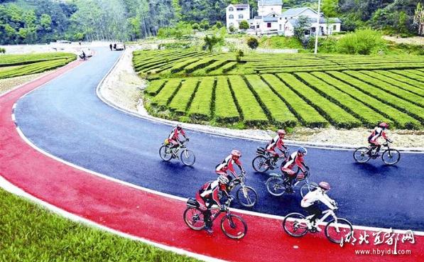 探秘森林公园,宜都森林城市