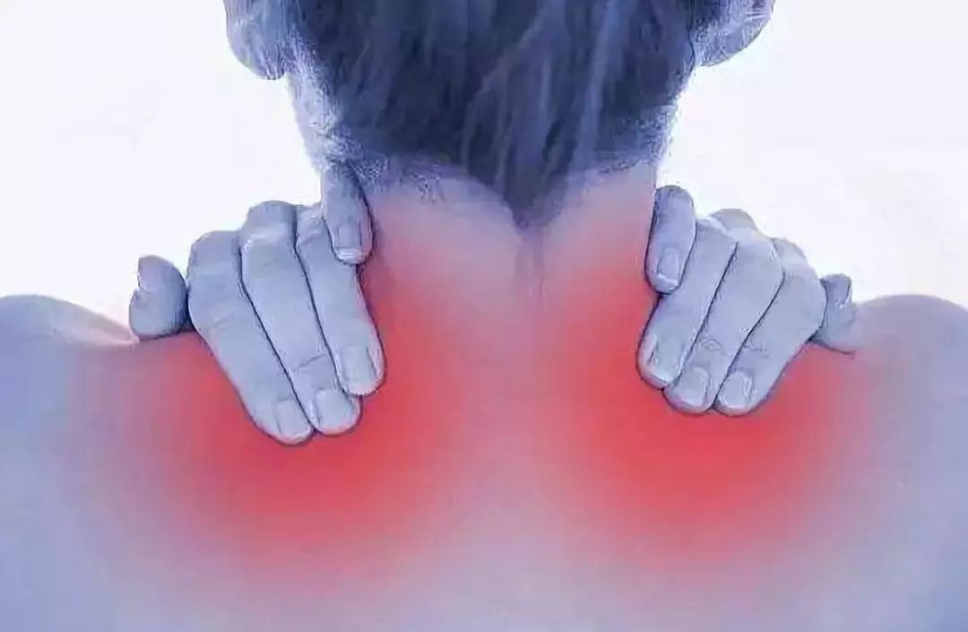 双11养生操,双11免费保养项目