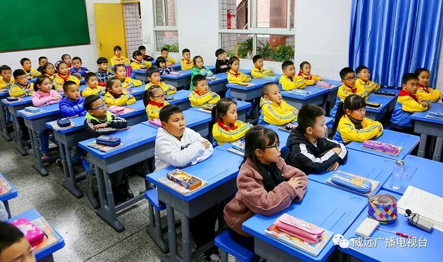 严陵镇中心校,严陵镇中心校及所属校园