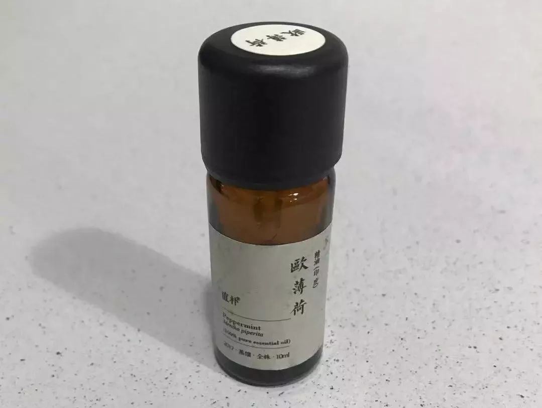 追了LOHAS11个编辑的战利品｜私藏好物清单