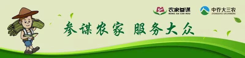微针取血栓骗局视频,微针取血栓是国家认可吗