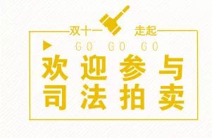 双十一宁波司法拍卖活动,双十一司法拍卖盛况