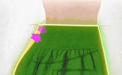 自带瘦腰神器的裤子,一条裤子能瘦肚子