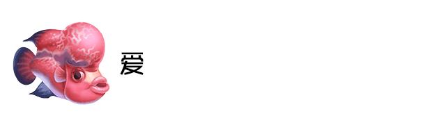 罗汉鱼鱼苗喂养知识大全,如何将多条小罗汉鱼在一个缸饲养