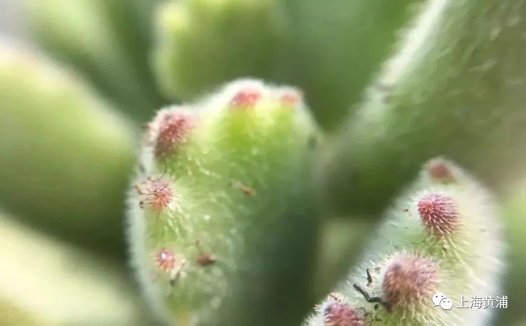 呵护女性健康，多洗是否有益？