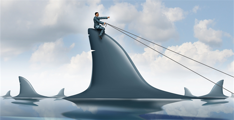 bol跨境电商平台怎么样,荷兰电商bol怎么入驻