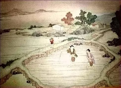 古代文明的起源及类型:有点讽刺,文明始于奴役及不平等