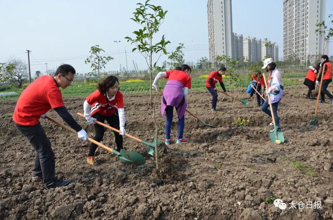 数说40年│太仓成“最具幸福感城市”，好环境绝对拿得出手！