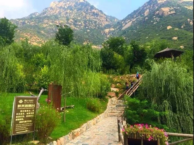 最美漫山花溪谷,漫山漫水花溪谷风景区