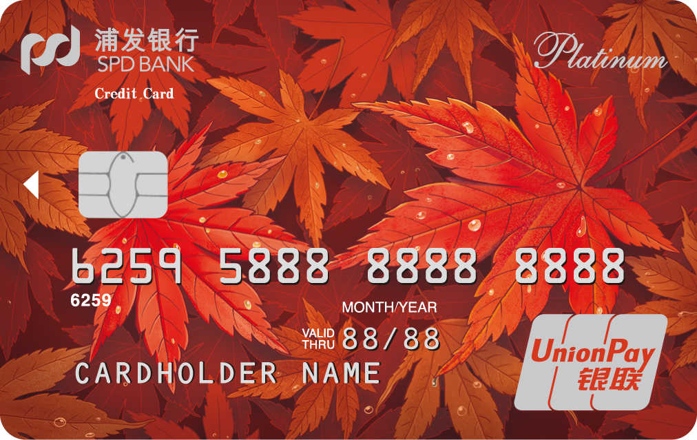 高端spa美容哪家服务好,美容spa推荐去什么品牌