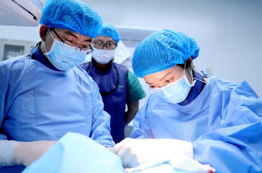 最新心脏起搏器植入示意图,心脏起搏器手术最好前十名医院