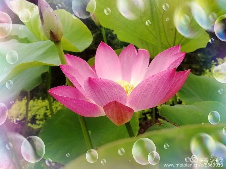 「荐读」名贤集值得一读