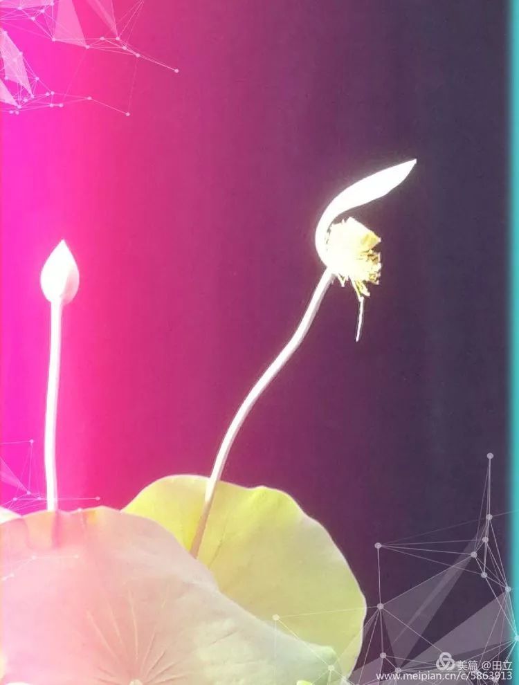 「荐读」名贤集值得一读