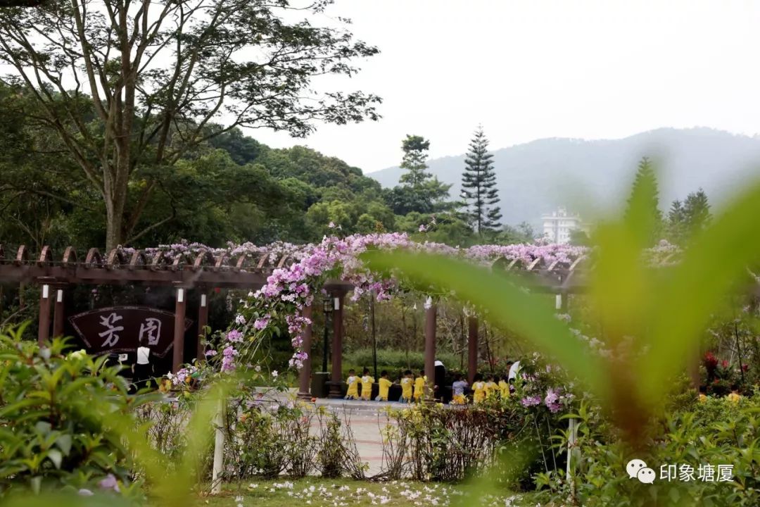 秋意浓浓风景如画的地方,塘厦风景好的地方