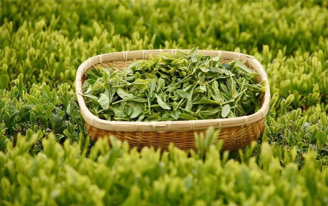 四季江宁旖旎无限，春华秋实美在“世凹桃源”