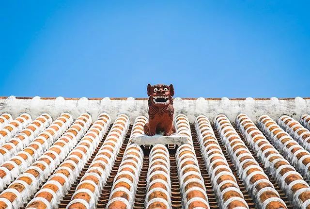 日本夏威夷樱花海岛,在日本最晚看到樱花开放的岛屿