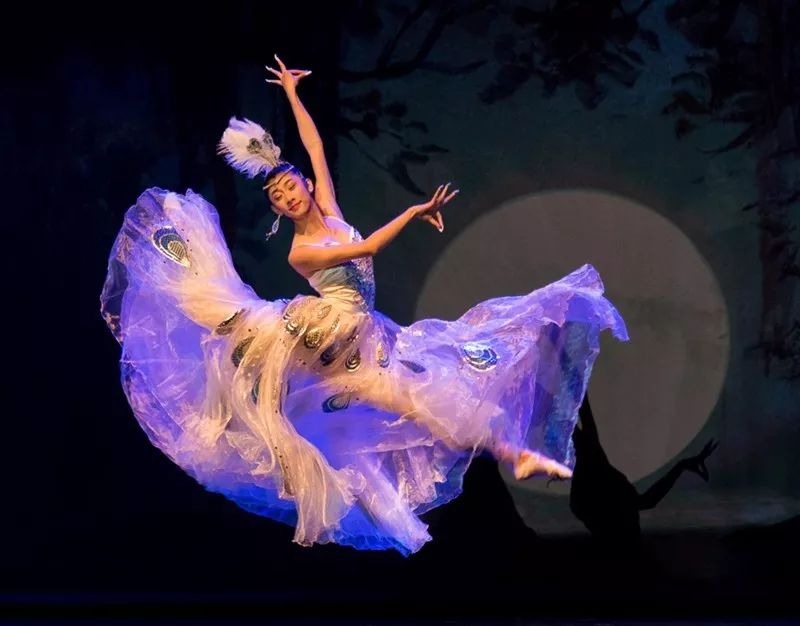 商洛新闻联播11月18日,商洛新闻联播视频2020年11月5日