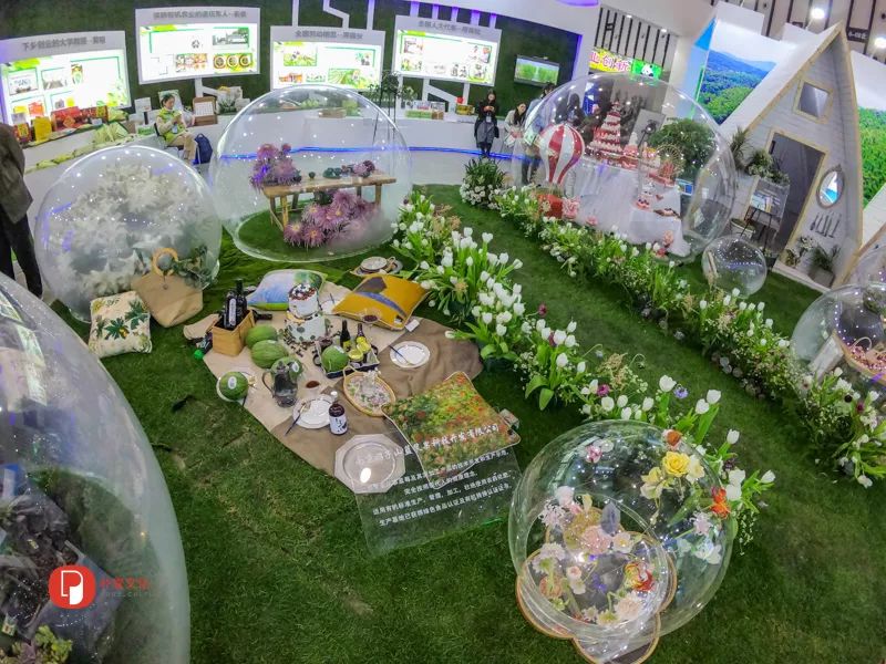 「文明旅游」未来农业应该是啥样？｜快来看全国新农民新技术创业创新博览会