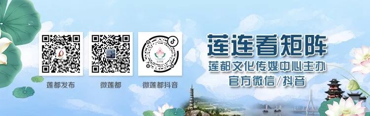 莲都学校,莲都教育局