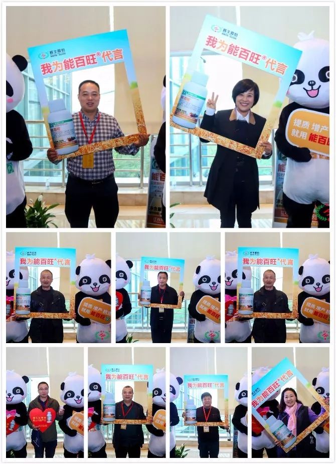 辉丰能百旺噻苯隆说明书,辉丰能百旺多少钱一袋