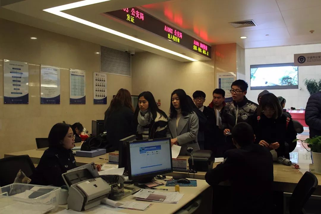 苔花开放视频,苔花开放的视频