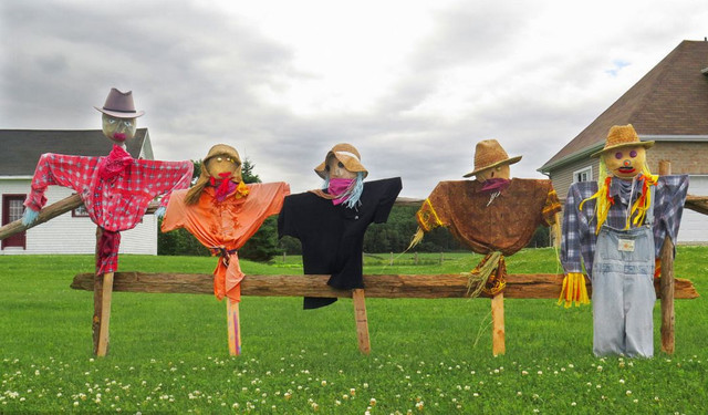 「重磅消息」重庆稻草人旅游节暨玫瑰花海门票无限免费送！5月1日黄金周，我们约起！