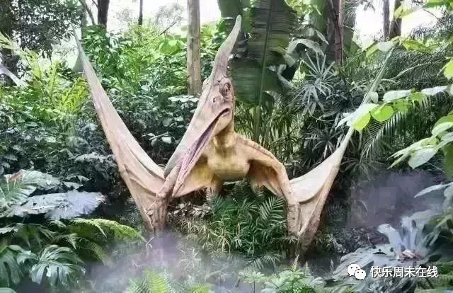 「重磅消息」重庆稻草人旅游节暨玫瑰花海门票无限免费送！5月1日黄金周，我们约起！