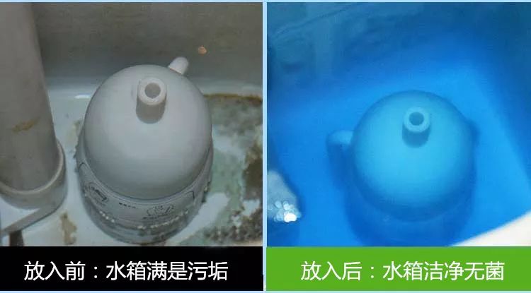 马桶下水管道一直有异味怎么解决,马桶里的脏东西洗不下来怎么办