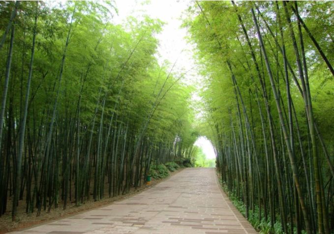 四川旅游淡季,降价景区门票价格