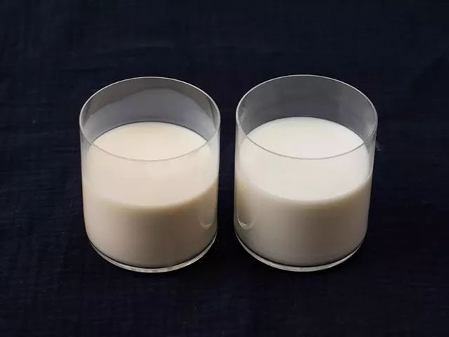 一条拼团|“百菲酪”水牛奶,日东红茶经典奶茶